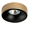 Светильник Lightstar L01002723
