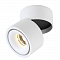 Светильник Crystal Lux CLT 412C WH