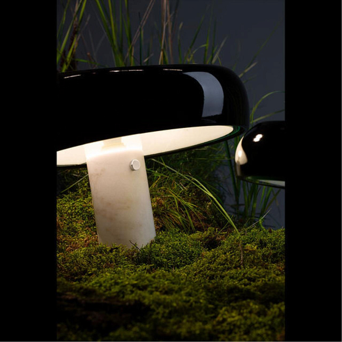 Настольная лампа Divinare 1083/06 TL-2