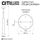 Светильник Citilux CL565010